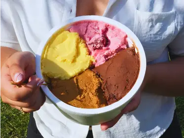 Producto de Panniyo Helados
