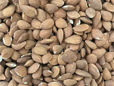 Producto de Rode Mayorista