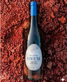 Producto de Terruño Casa de Vinos