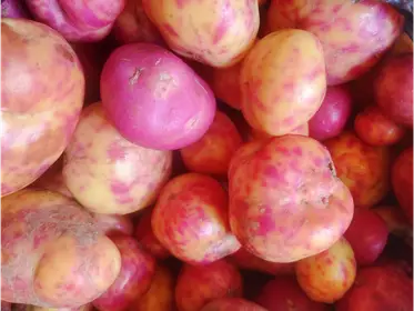 Producto de VERDULERIA EXPRESS