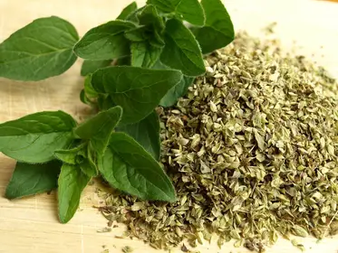 Producto de Vida en Verde