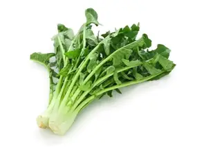 CATALOGNA GIGANTE DE CHIOGGIA - ALFOIL 1 KG de CAPS S.A