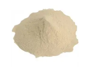 AGAR AGAR de Casa Nito