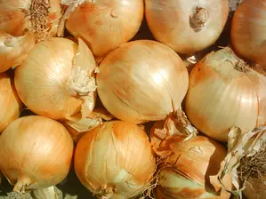 Cebolla de CB El Progreso