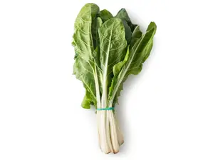 Acelga de Cocomelon