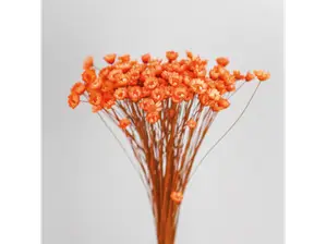 Diamantinas de 50 a 100 paquetes de Color Florido Comercio