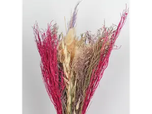 Amanecer de Color Florido Comercio