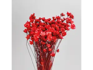 Diamantinas de Color Florido