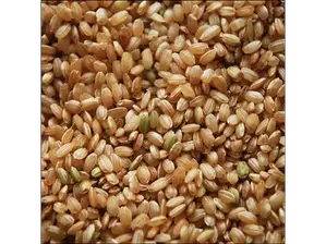 Arroz yamani integral agroecológico x 1kg de CorrienteVital