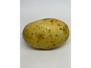 Papa de Cosecha Almacén Natural