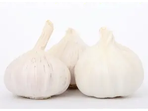 ajo de Del entorno