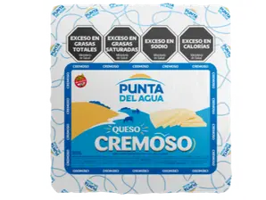 Cremoso Punta del Agua x 100g de Distribuidora Santa Maria