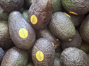 Palta Hass de DOÑA PAPA