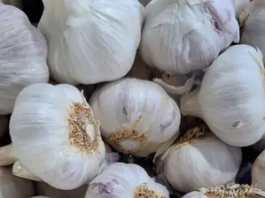 Ajo de DOÑA PAPA