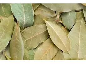 LAUREL ORGANICO HOJAS de Dulce Lena Almacén Natural