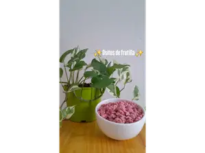 Ositos de frutilla de Dulcealmendra