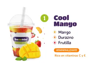 SMOOOTHIE #1 COOL MANGO de SMOOOTHIES EASYFRUT- FEEDING