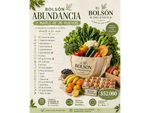 Bolsón ABUNDANCIA de El Bolsón Orgánico