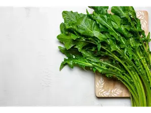 ACHICORIA de El Oasis Frutas y Verduras