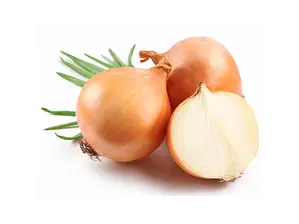 Cebolla de El Puesto Delimarket