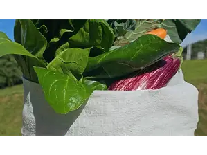 Bolsón 7k de verduras agroecológicas de El Ranchito