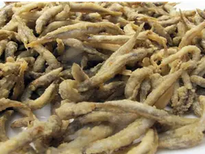 (502) CORNALITOS de EL TIBURON - FISH FOOD