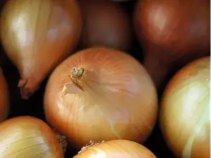 CEBOLLA 2KG de El Santafesino Verduleria