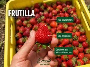 Mango de Ercoli Verduleria Online