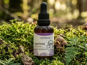 Agaricus de EsporaQíLab