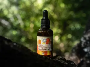 Cordyceps de EsporaQíLab