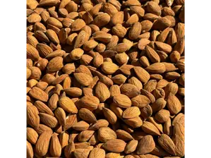 ALMENDRA X 1 KG PARTIDA de Distribuidora Esteban Liprandi