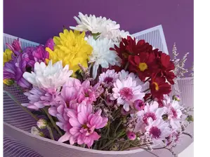 PRIMAVERA VIVA de FlorDeLis