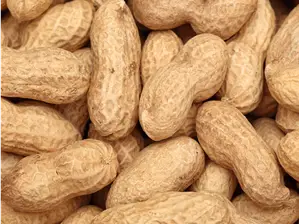 Maní con cáscara premium x 1 kg de Flor Tienda Natural