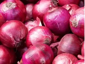 Cebolla Morada de Fresca Esquina