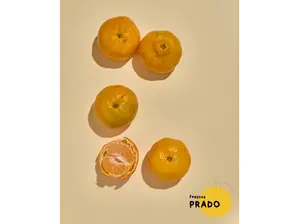 Mandarina de FrescosPrado