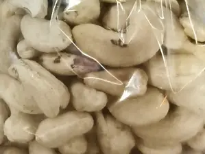 CASTAÑAS DE CAJU BRASIL ENTERAS de Frutopia.rz