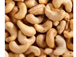 Castañas de Caju Brasil de Frutos Secos Gral. Roca | Mayorista