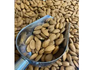 Avellanas Enteras de Frutos Secos Gral. Roca | Minorista