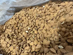Almendras Guara de FRUTOSECOSNEUQUEN