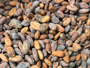 Arándanos enteros deshidratados de Frutos Secos Nueva Mayorista