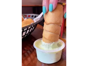 TEQUEÑOS DE PURO QUESO LLANERO de Fusión de Sabores América