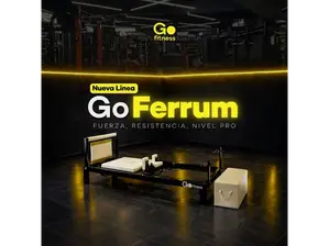 CAMILLA PILATES - FERRUM de Go! Fitness Shop | Santiago del Estero