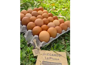 MAPLE de Granja La Pluma
