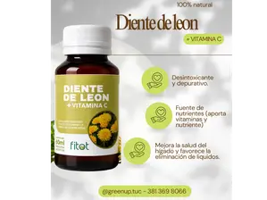 Diente de leon 60ml - Fitot de Green Up tienda saludable