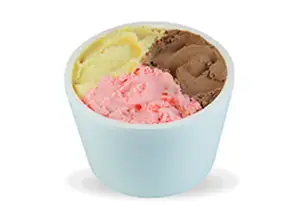 Helado 1 kg de Grido Santa Ana