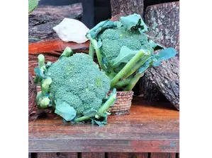 1 BROCOLI PREMIUM de Grupo Abasto