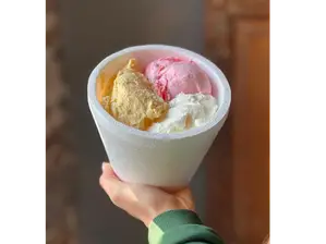 3/4 KG de Heladeria La Aldeana