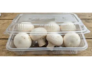 CHAMPIGNONS 200 gr DELIVE®¥ de BONDIET