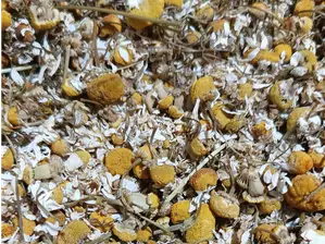Manzanilla en Flor. Precio por 1 kg de H.O.P.