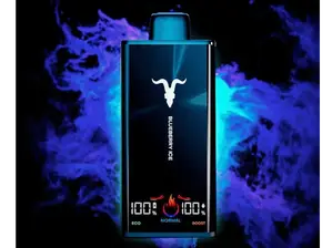 IGNITE V300 - 30.000 PUFF de King